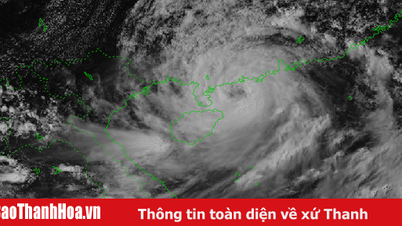 Khả năng xuất hiện 2-3 cơn bão, áp thấp nhiệt đới trong tháng 8