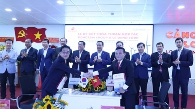 DongTam Group bắt tay CS Wind Corp xây dựng nhà máy sản xuất thiết bị điện gió 200 triệu USD