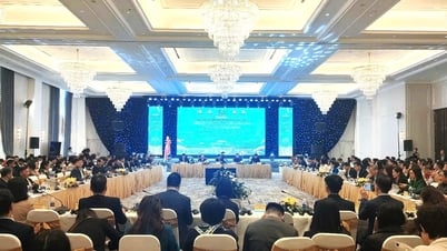 Eastern Expressway Industrial Park Forum 2024 in Quang Ninh