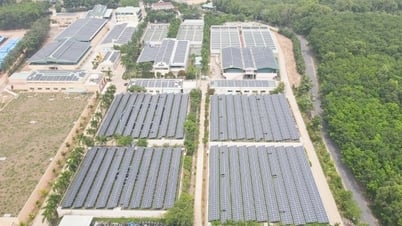 Một công ty nước mua điện mặt trời mái nhà với giá cao nhất tới 3.100 đồng/số