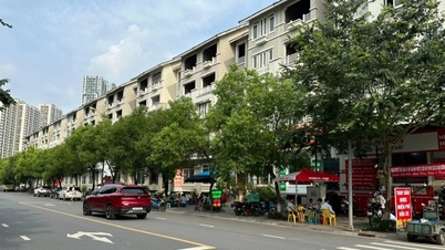 Giá liền kề, biệt thự Hà Nội tăng "nóng", chuyên gia nói điều bất ngờ