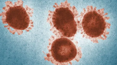 Mối nguy từ virus 'thây ma' ngủ đông 50.000 năm