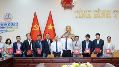 Vietnam-Korea Business & Investment Association fördert inländische Zusammenarbeit