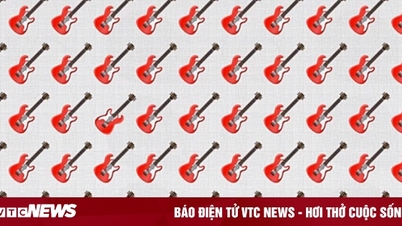 Mất bao lâu để bạn tìm ra điểm khác biệt?