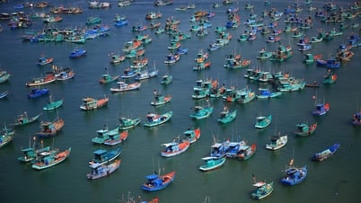 ភូមិនេសាទ Hon Thom, Phu Quoc - សម្រស់ដែលគ្រប់ជំហាន