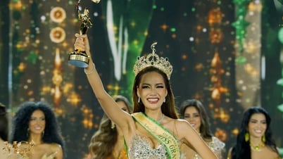 Hành trình trở thành Á hậu 4 của Lê Hoàng Phương