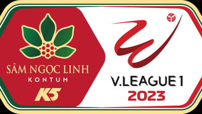 កាលវិភាគប្រកួត V-League ជុំទី 8