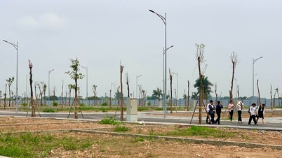 Quy định mới về giá đất; mua, bán trái phiếu doanh nghiệp có nhiều thay đổi