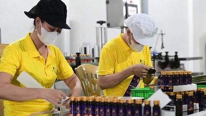 Thanh Hoa - Where elite products converge (Part 2): OCOP products affirm their brand and reach international level