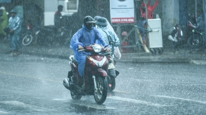 El Comité Directivo para la Prevención y Control de Desastres, el Equipo de Rescate y la Defensa Civil de Da Nang emitieron un aviso sobre pronósticos de lluvia e inundaciones.