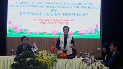 Gyeonggi will support Ha Nam to promote investment in Korea