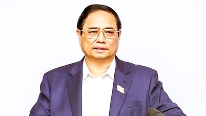 Phát triển du lịch theo hướng chuyên nghiệp, hiệu quả