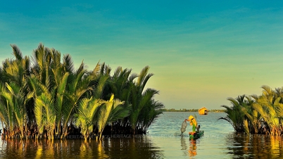 Một sáng trên sông Cái Tàu, Cà Mau