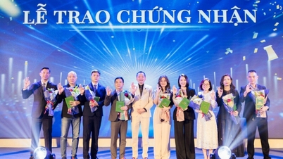 CVG Shark Group ជំរុញកិច្ចសហប្រតិបត្តិការជាមួយសមាគមសហគ្រិនវ័យក្មេងទូទាំងប្រទេស
