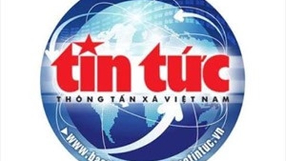 Ông Nguyễn Văn Cường, Trợ lý Chủ tịch Quốc hội được bổ nhiệm giữ chức Phó Tổng Thanh tra Chính phủ