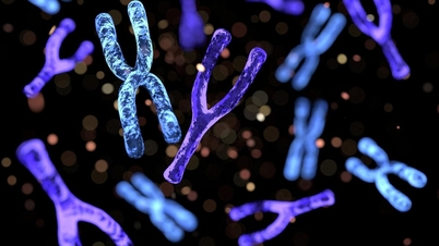 The first successful decoding of the Y chromosome in men