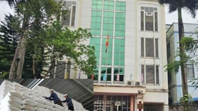 4 lần đổi chủ trong năm của nhà thầu “bỏ chạy” cung cấp gạo tại Thái Bình
