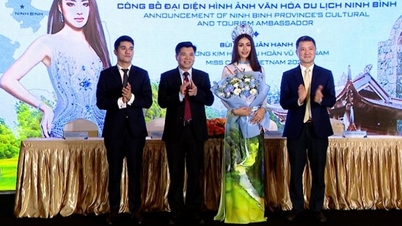 Công bố lịch trình cuộc thi hoa hậu Hoàn vũ 2024 và đại diện hình ảnh Văn hoá du lịch Ninh Bình