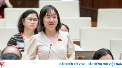 Đề nghị bổ sung hành vi “mua bán bào thai” vào khái niệm “mua bán người”