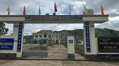 한 학구에는 전문성이 부족하고 새로운 커리큘럼에 따라 가르칠 자격이 없는 교사가 17명 있습니다.