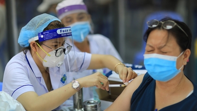 COVID-19 vaccine strategy for public health, all people