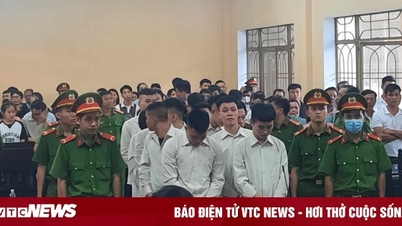 Rượt nam thanh niên rơi xuống mương thiệt mạng, nhóm côn đồ lĩnh 97 năm tù