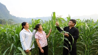 Tuyen Quang: A prestigious person worthy of the trust of ethnic minorities