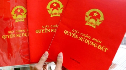 Đất không có giấy tờ trước 1/7/2014 sẽ được cấp sổ đỏ