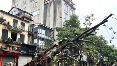 Hà Nội sẽ giảm nhiều loại thuế cho người gặp khó khăn do bão số 3