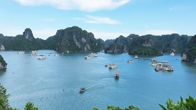 ឈូងសមុទ្រ Ha Long គឺជាគោលដៅទេសចរណ៍មួយក្នុងចំណោម 24 គោលដៅទាក់ទាញបំផុតនៅលើពិភពលោកក្នុងឆ្នាំ 2024