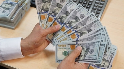 Dự báo mới nhất về giá USD tại Việt Nam
