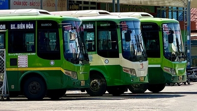Xem xét bổ sung 5 tuyến xe buýt kết nối giữa TP.HCM và sân bay Long Thành