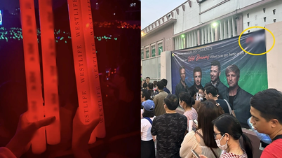 Advertising betting and virtual currency at Westlife show: Can be fined 70-100 million VND?