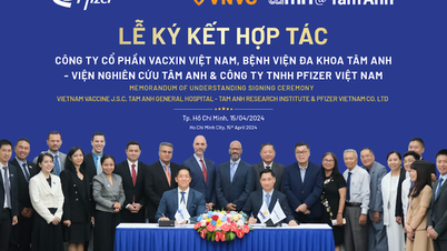 ក្រុមហ៊ុន Pfizer វៀតណាម VNVC និង Tam Anh សហការដើម្បីកែលម្អដំណោះស្រាយថែទាំសុខភាព