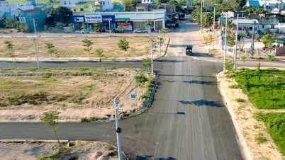 Late payment of land use fees may result in land recovery.