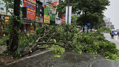 Heavy rain and wind at noon, many trees fell on the main road in Hanoi
