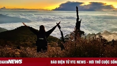 Người Việt đổ đi trượt tuyết, 'săn mây' dịp Tết Dương lịch