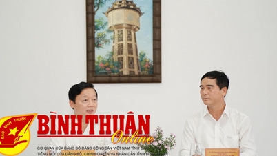 Deputy Prime Minister Tran Hong Ha works with Binh Thuan province