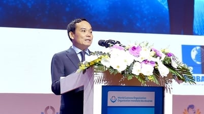 Đào tạo nguồn nhân lực thực hiện Hải quan số, Hải quan thông minh, Hải quan xanh