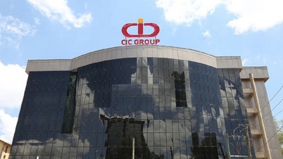 CIC Group (CKG) tài sản toàn nợ, vẫn phát hành thêm 201 tỷ cổ phiếu
