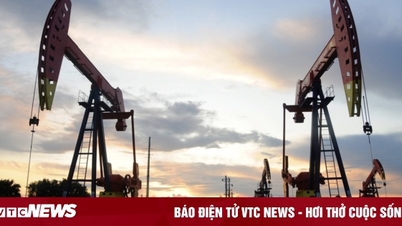 Giá xăng dầu hôm nay 3/11: Tuần giảm 3-4%