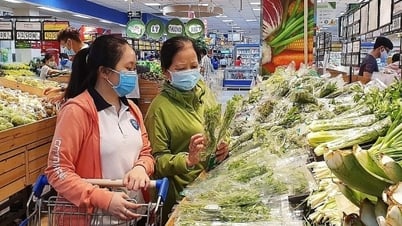 소비자 자극 활동은 더욱 실용적이고 효과적이며 정기적이어야 합니다.