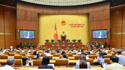 Chính sách đặc thù phát triển TP. Hồ Chí Minh có hiệu ứng rất tích cực
