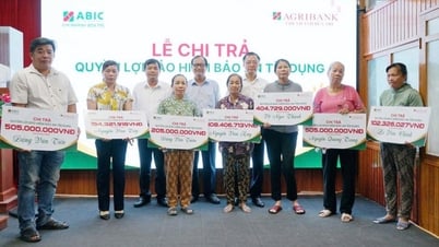 ABIC pays Credit Security Insurance benefits in Giong Trom district