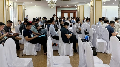 Sand mine in Ha Tinh starting at 10 billion VND is now bid up to over 100 billion VND