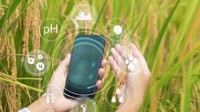 Vai trò của 5G trong thúc đẩy tự động hóa nông nghiệp chính xác