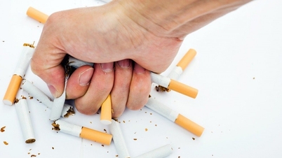 Cần tăng cường giám sát việc thực hiện chính sách, pháp luật về phòng, chống tác hại của thuốc lá