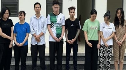 Tạm giam 8 bị can sản xuất, buôn bán thực phẩm chức năng giả quy mô lớn