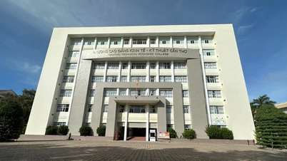 Nâng cấp Trường CĐ Kinh tế- Kỹ thuật Cần Thơ thành trường ĐH