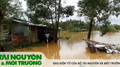 ខេត្ត និងទីក្រុងនៅតាមមាត់សមុទ្រ ឆ្លើយតបយ៉ាងសកម្មទៅនឹងការធ្លាក់ខ្យល់ត្រូពិច